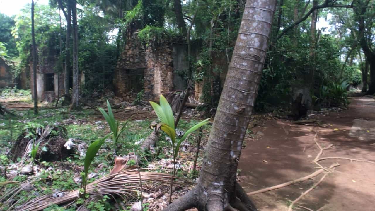 La nature au bagne des Îles du Salut